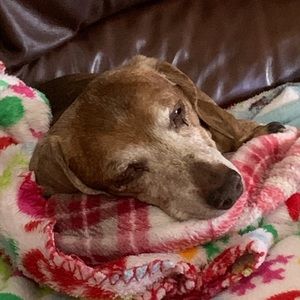 Meet your Posher, Charmaine